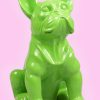 is franse bulldog lime 66592